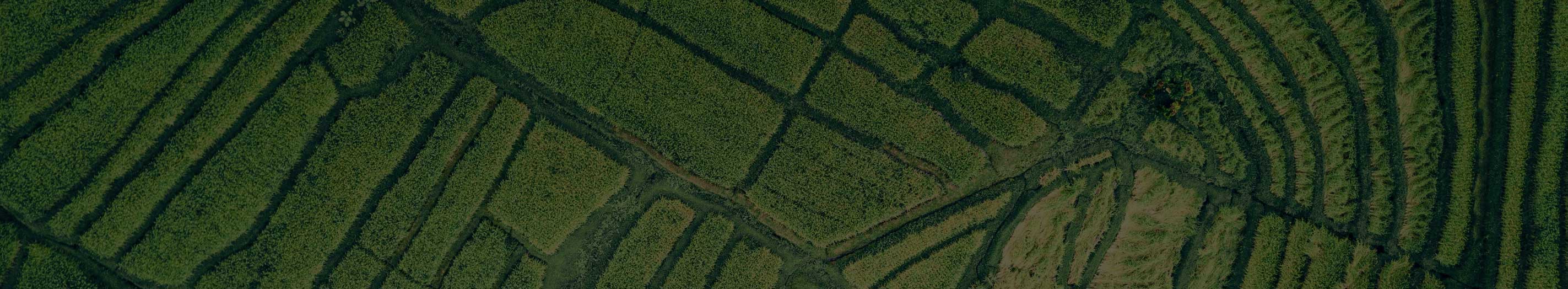 bg_image